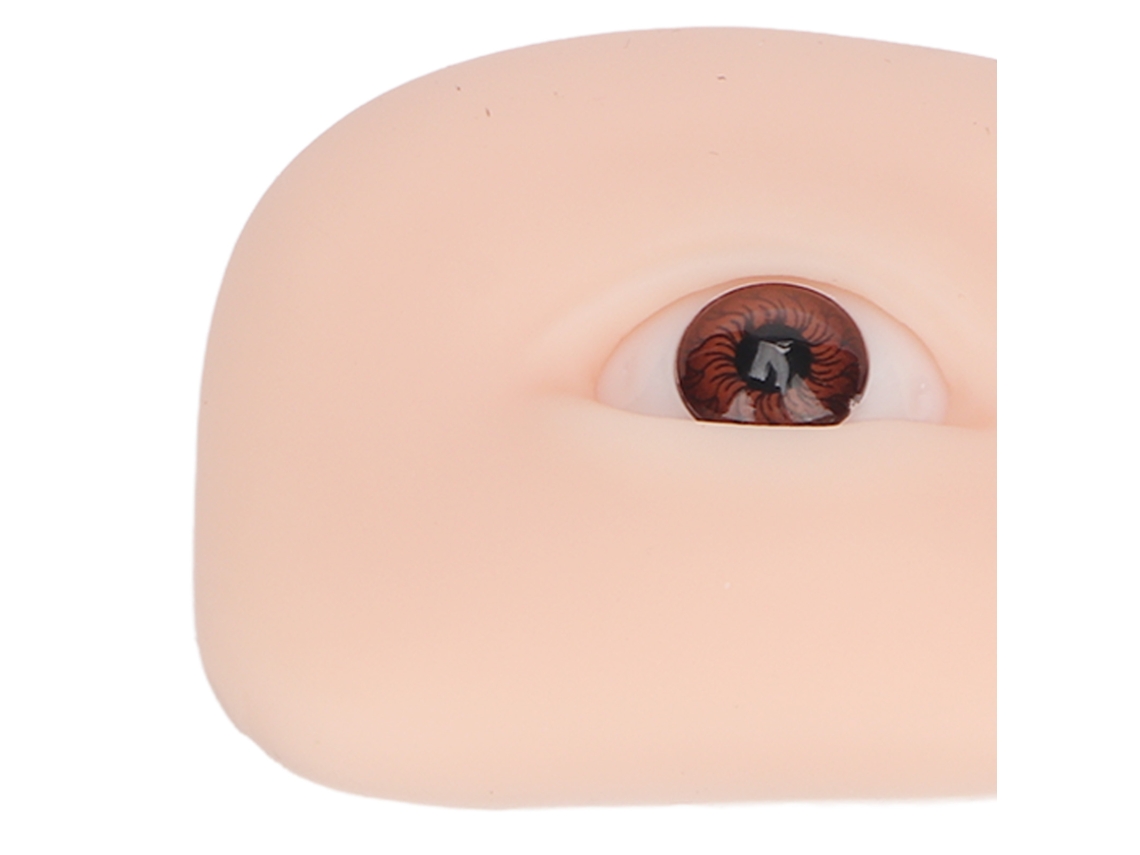 Modelo De Olho De Silicone (globo Ocular Marrom Flexível 5d) Eoocoo