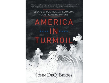 Livro America in Turmoil Essays on Politics, the Economy, Society, and the Future de John Deq Briggs (Inglês - Capa Dura)