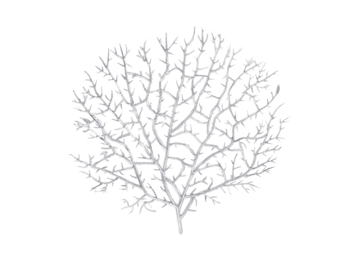 Ramo De Coral Peacock Tree Duplo Cabeça Branco 45cm