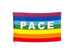 Peace Flag Polyester 90x145cm Banner Garden Balcony Outdoor CHABERLU