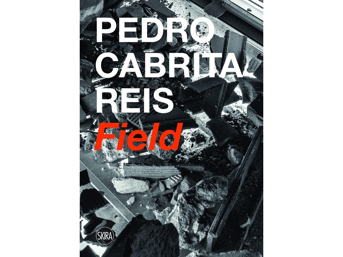 Livro Pedro Cabrita Reis de Short Michael/Serota (Inglês)