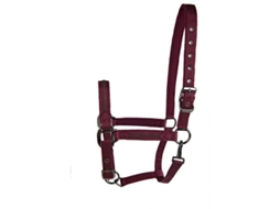 Cabresto para cavalos Lami-Cell Sparkling