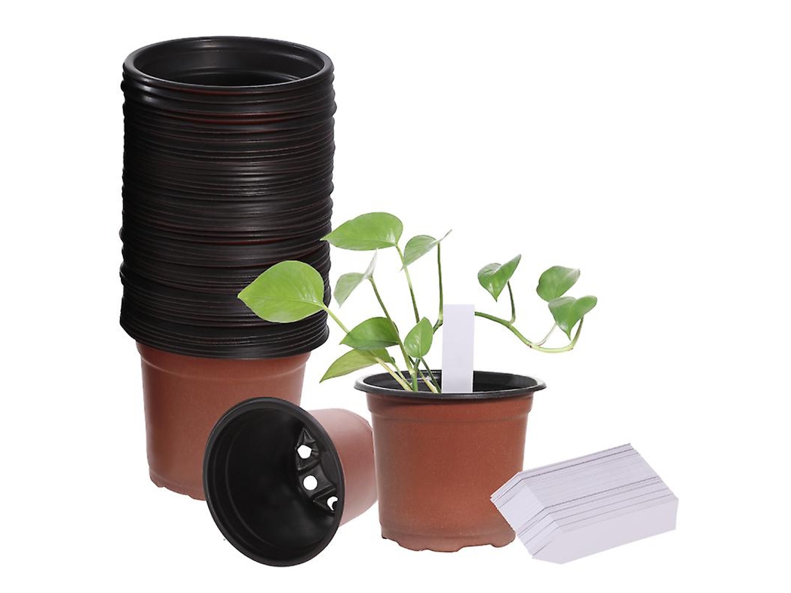 100Un Vasos de Plantas ALLINLESS