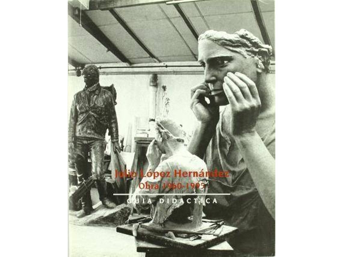 Livro Julio Lopez Hernandez Obra 1960-1995 Sala de Exposiciones Plaza de Espana, Marzo-Abril 1995 de Julio L Hernandez (Espanhol)