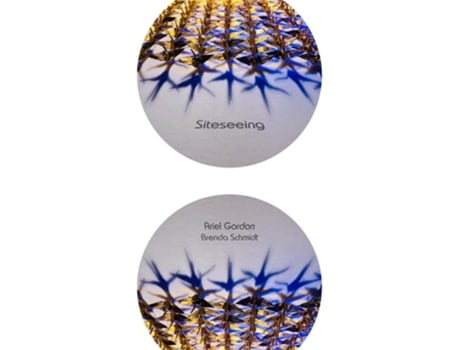 Livro Siteseeing De Ariel Gordon E Brenda Schmidt (inglês)