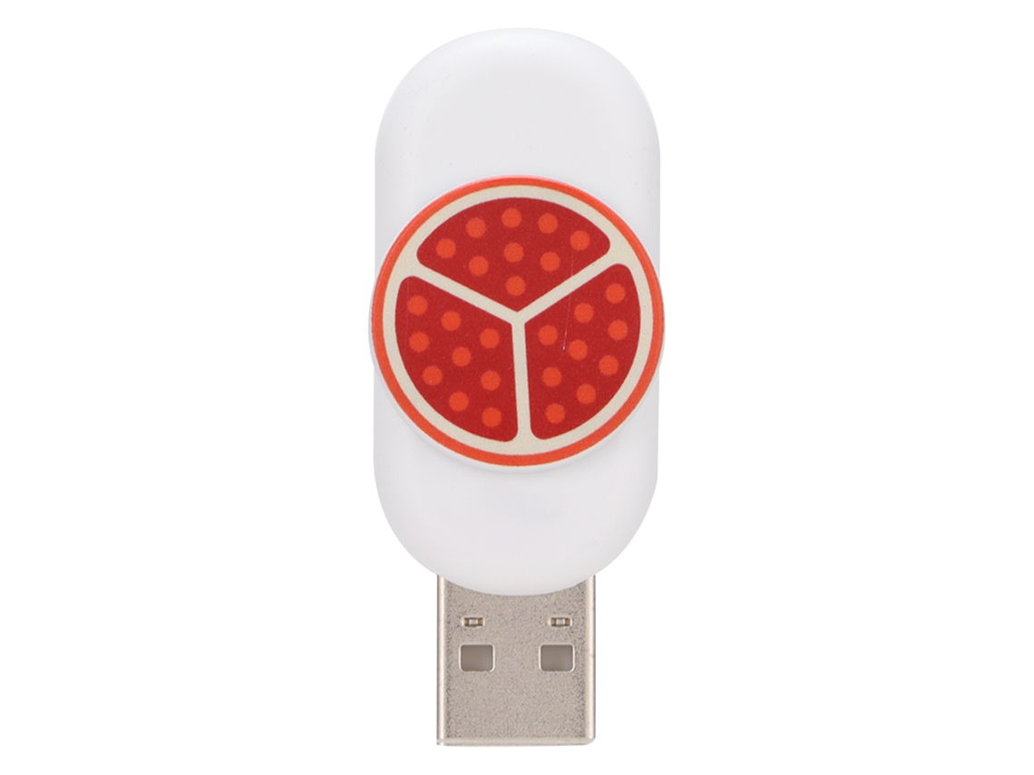 Pen Drive LAXISCREED 64gb Romã Usb Portátil