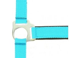 Cabresto para cavalos Norton Fluo