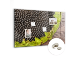Quadro Magnético De Parede Girassol Para A Cozinha Espelharte (90x60 Cm)