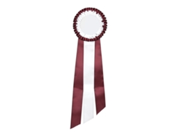 Distintivo De Fita Generosa Rosette Pin Medalha De Vencedor Troféu Classe Prêmio Branco