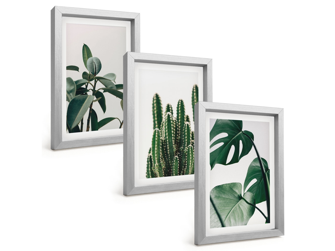 Composição De Quadros Plantas Tropicais Com Estética Espelharte (3 Peças 20x30 Cm)