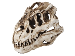 Escultura de Crânio de Dinossauro em Resina para Decoração e Coleções Halloween LAXISCREED