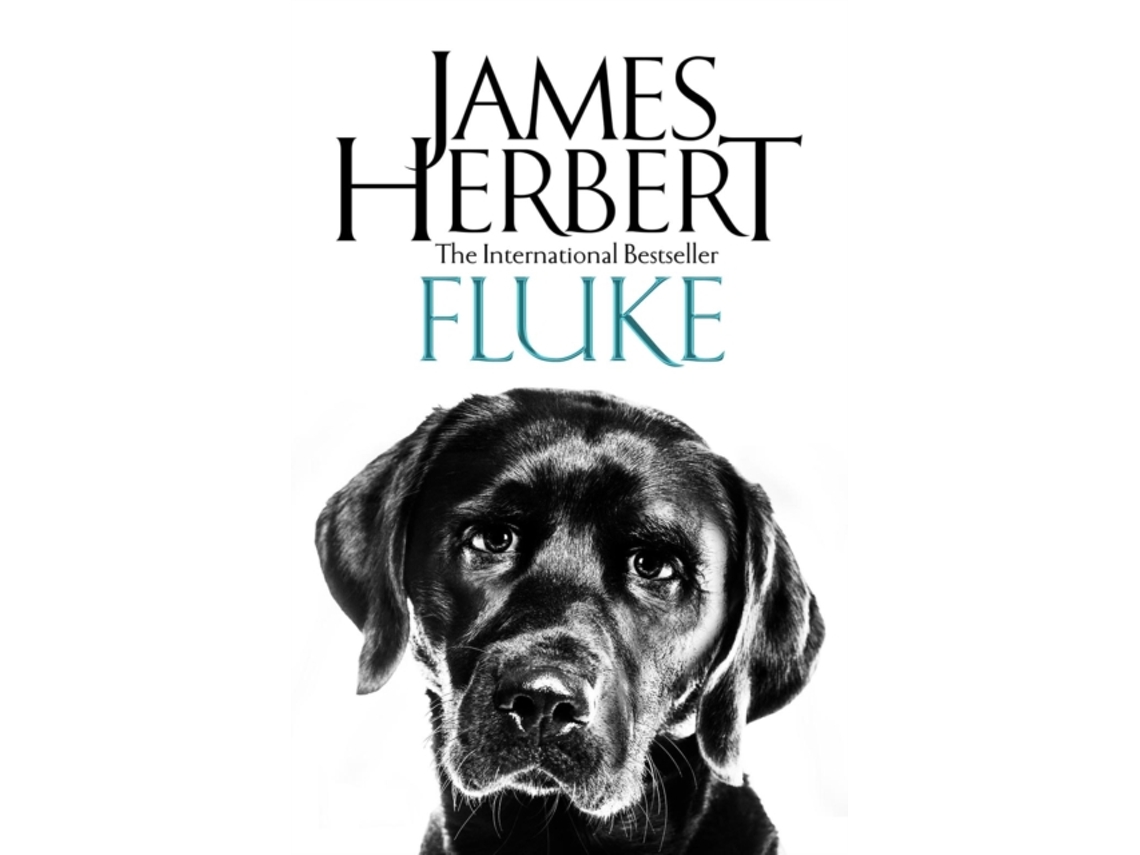 Livro Fluke de James Herbert (Inglês)