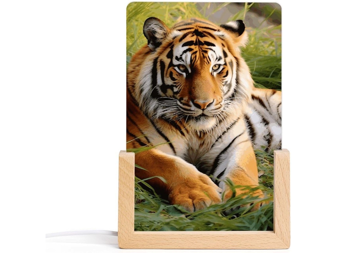 Luminária Noturna Em Acrílico Com Estampa De Tigre Na Grama E Base Led
