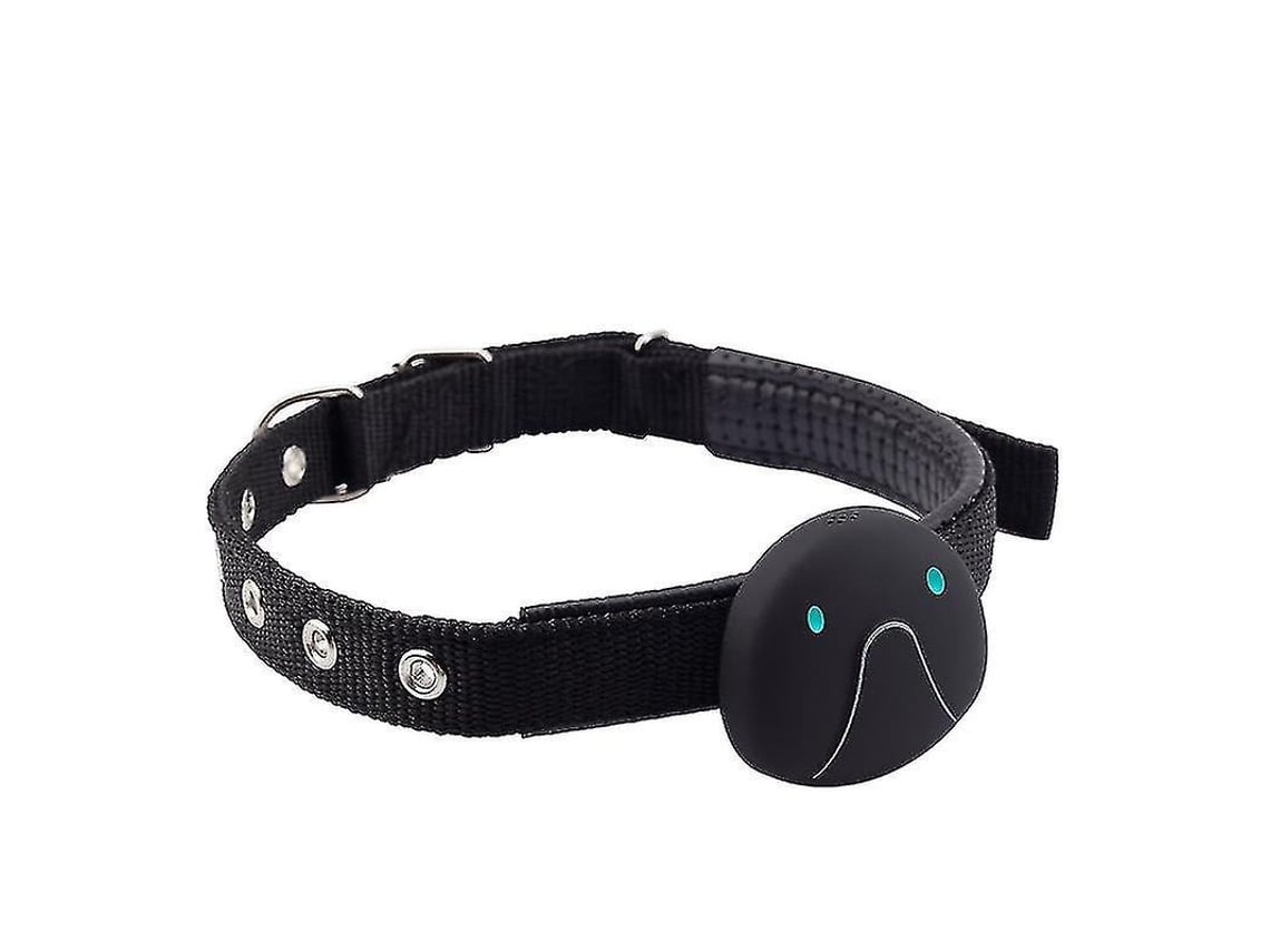 Colar Gps Inteligente para Cães e Gatos com Rastreador Gps * ZYBLSSBB (branco)