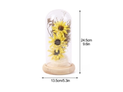Flor Preservada Girassol com Led Domo de Vidro Presente