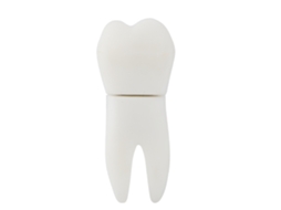 Pen Drive Usb 2.0 16g Em Forma De Dente Fofo, Stick De Memória, Armazenamento