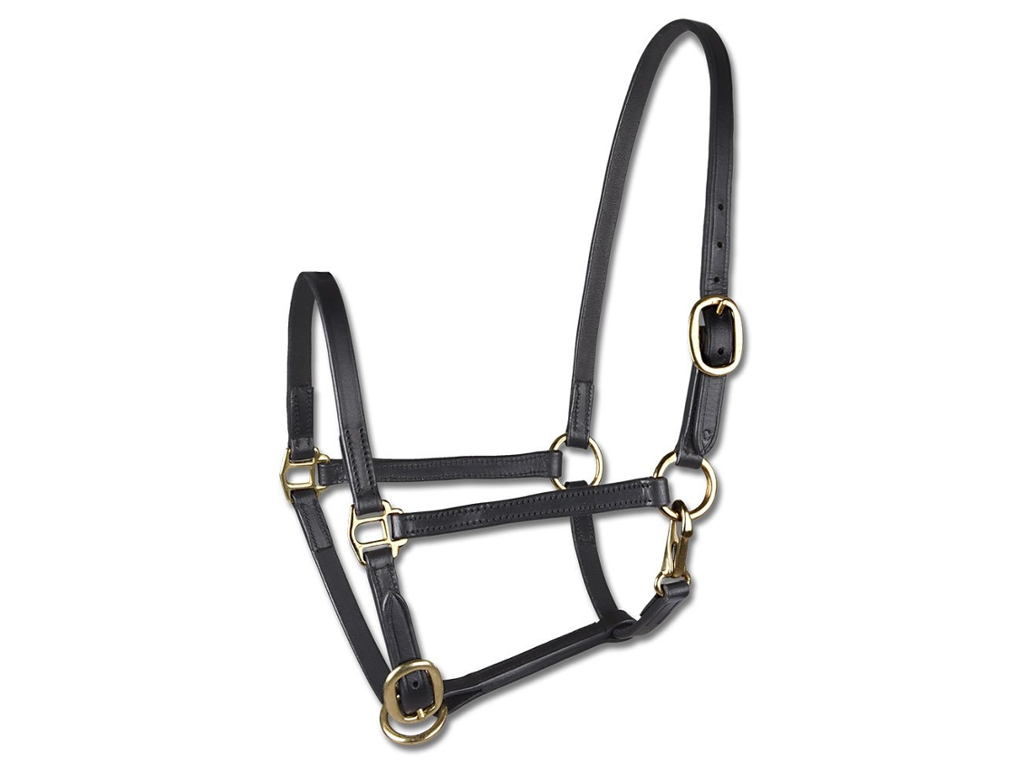 Cabeçada Foal Leather Dourado Ponystar