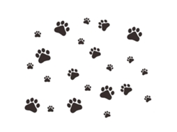 Adesivo de Pegadas de Cachorro para Parede | S/MARCA