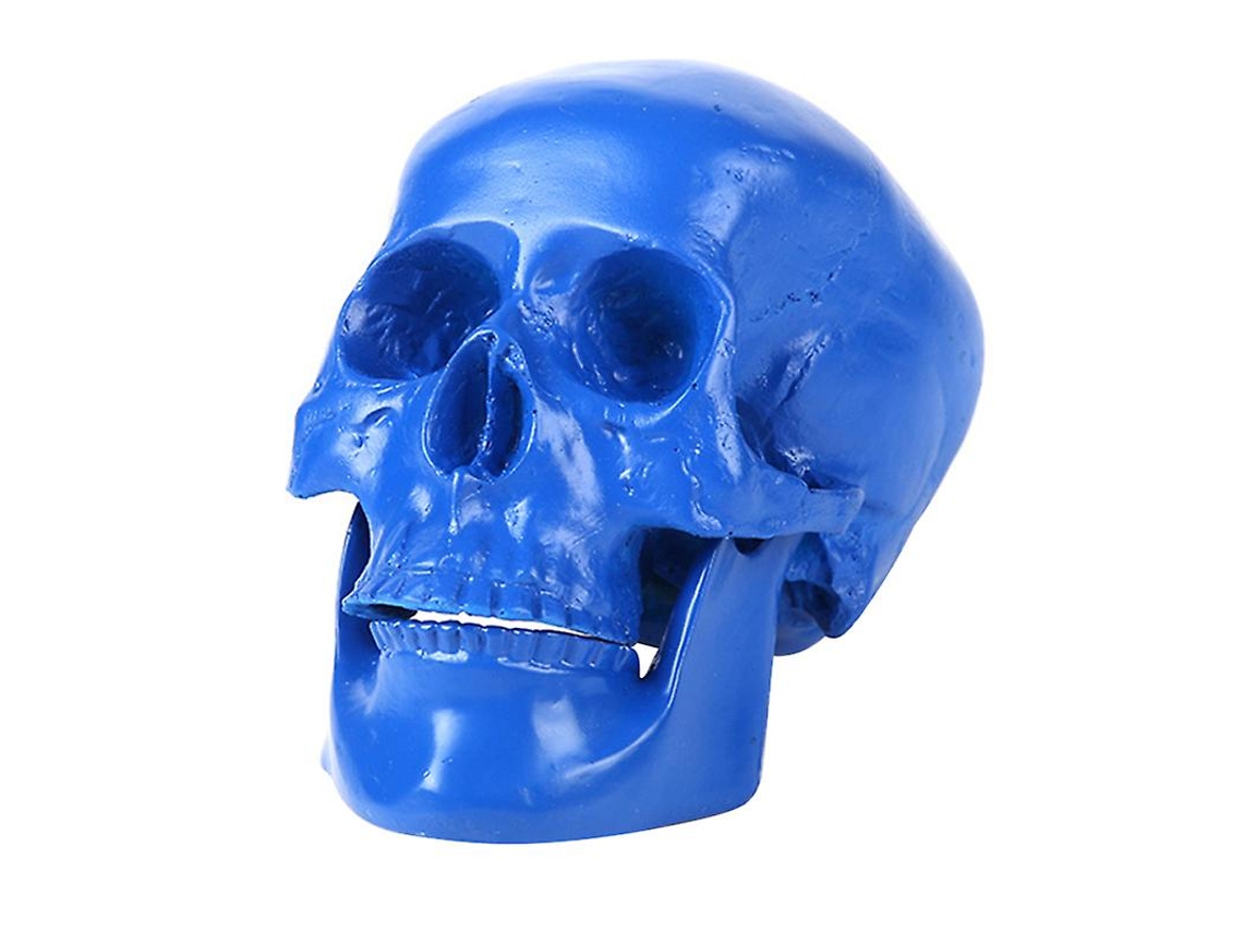 1Pcs Modelo de Caveira para Decorações de Halloween ALLINLESS