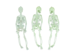Esqueletos De Halloween Para Decoração De Halloween Ly Ebike