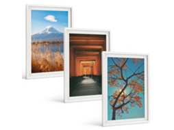 Conjunto De Pinturas Paisagens Japonesas E Natureza Espelharte (3 Peças 40x60 Cm)