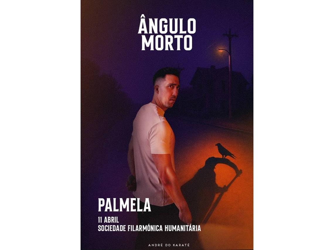 Bilhete ÂNGULO MORTO DE ANDRÉ MARTINS|PALMELA