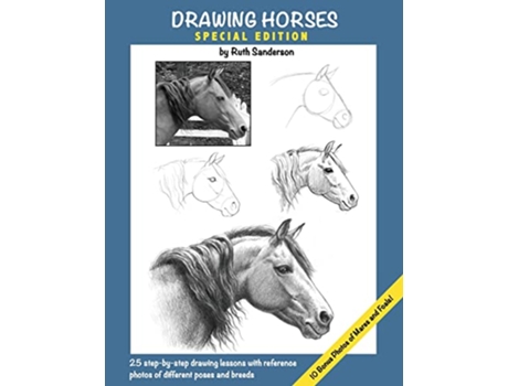 Livro Drawing Horses Special Edition de Ruth Sanderson (Inglês)