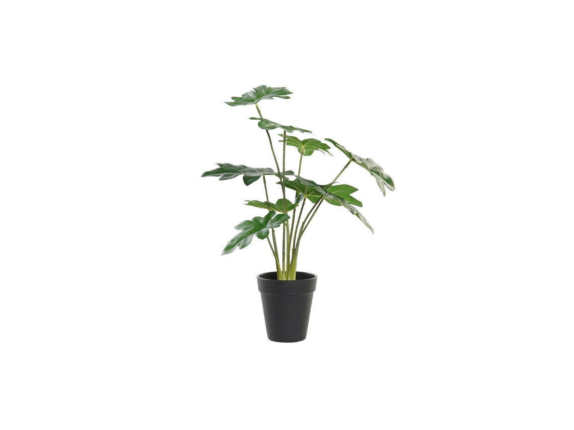 Planta Decorativa DKD HOME DECOR (Multicor)