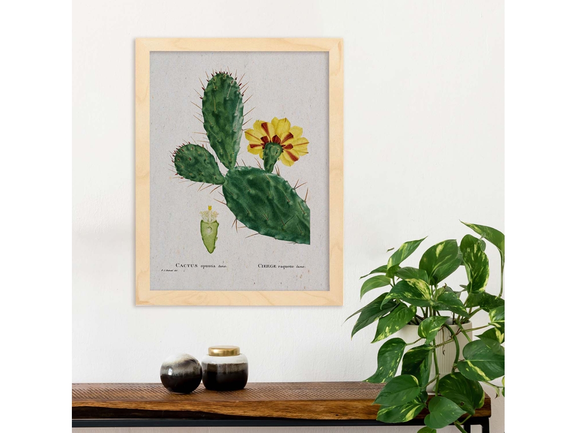 Póster NACNIC Natureza - 041.
