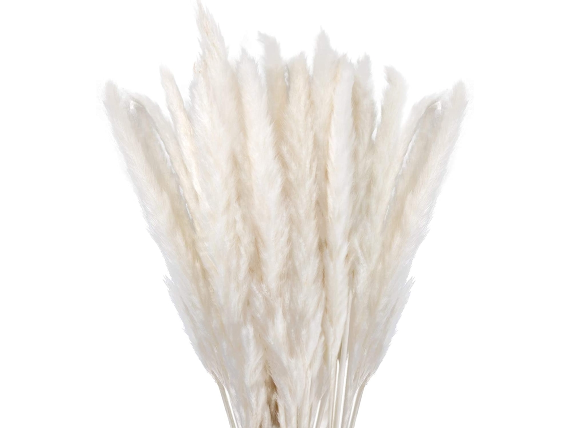 Lote De 30 Flores Secas Naturais 45cm Brancas,flor De Pampa Para Decorar Sala,quarto,interior,casa,cozinha,varanda (vaso Não Incluído)