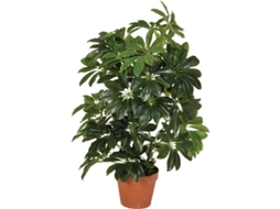 Planta Artificial CATRAL Cheflera (65 cm)