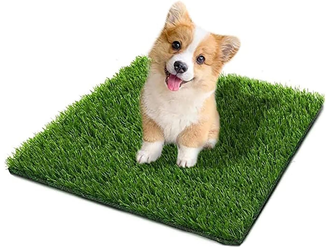 Casinha para Cães 60 cm, com Grama Artificial AQUAFORGE