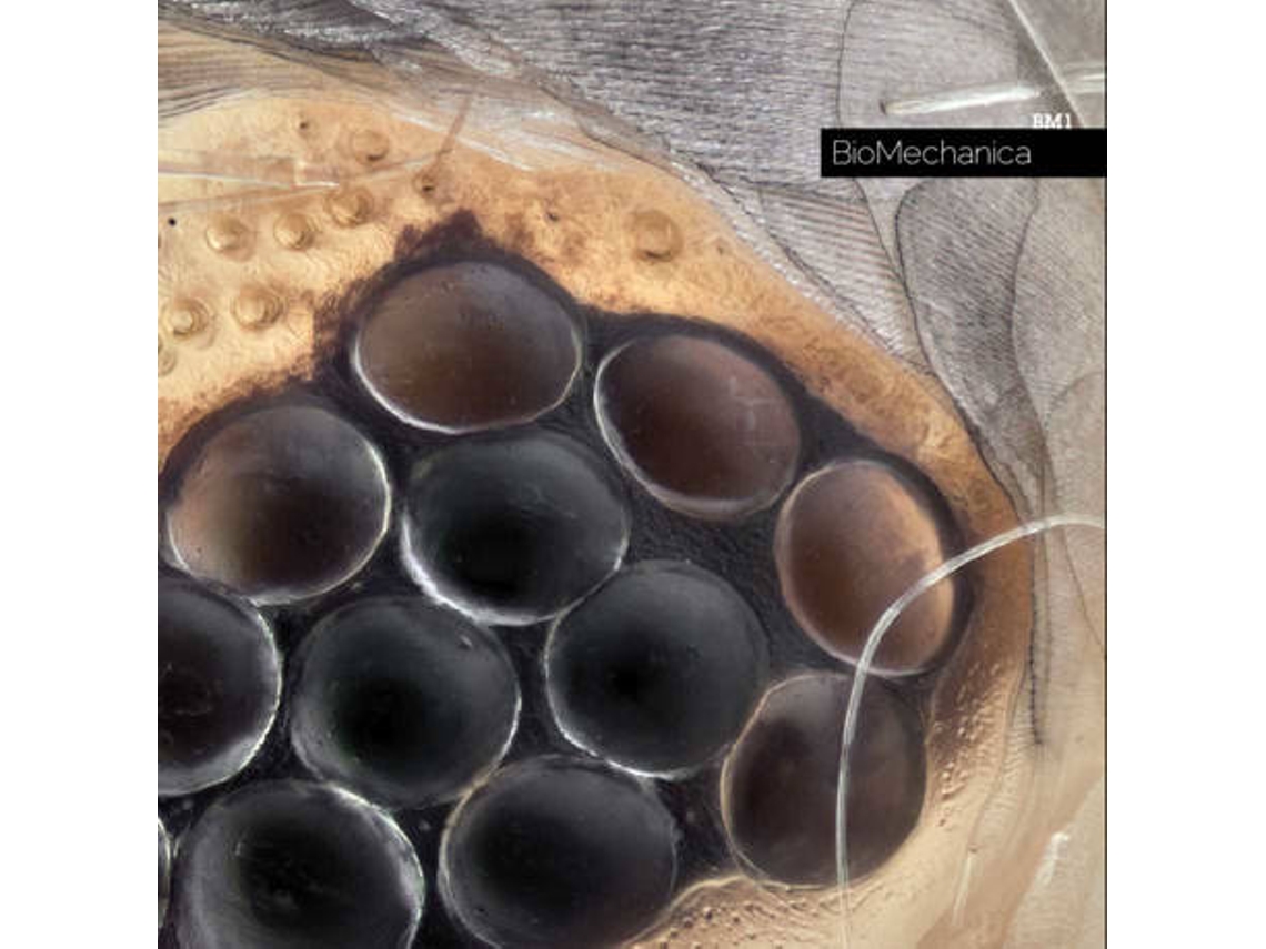 CD BioMechanica - Blythe Byte (1CDs)