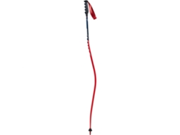 SWIX Bastão De Esqui Alpino World Cup Pro Dh Carbon Vermelho 125 cm