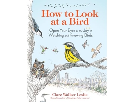 Livro How to Look at a Bird de Clare Walker Leslie (Inglês)