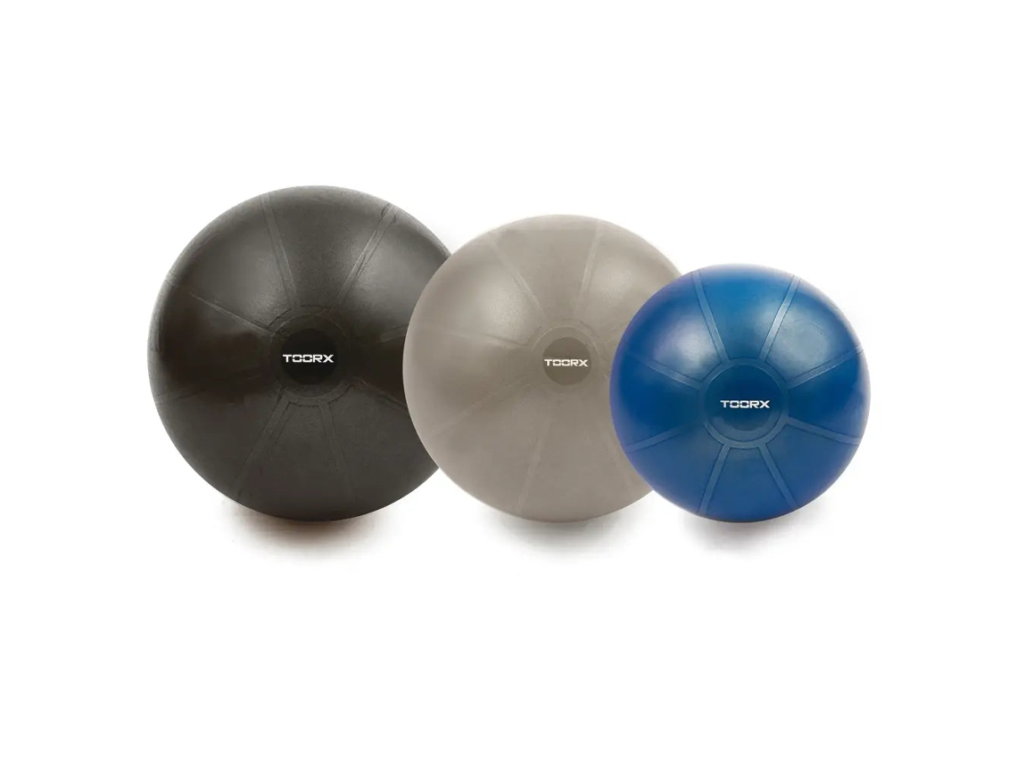 Bola De Ginástica Toorx Profissional