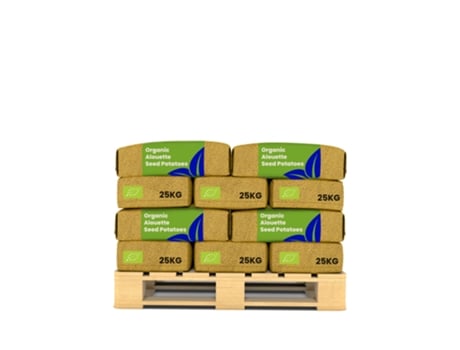 Batata De Semente - Biológica - Alouette A 28/35 - 20x 500 Kg - Organifer