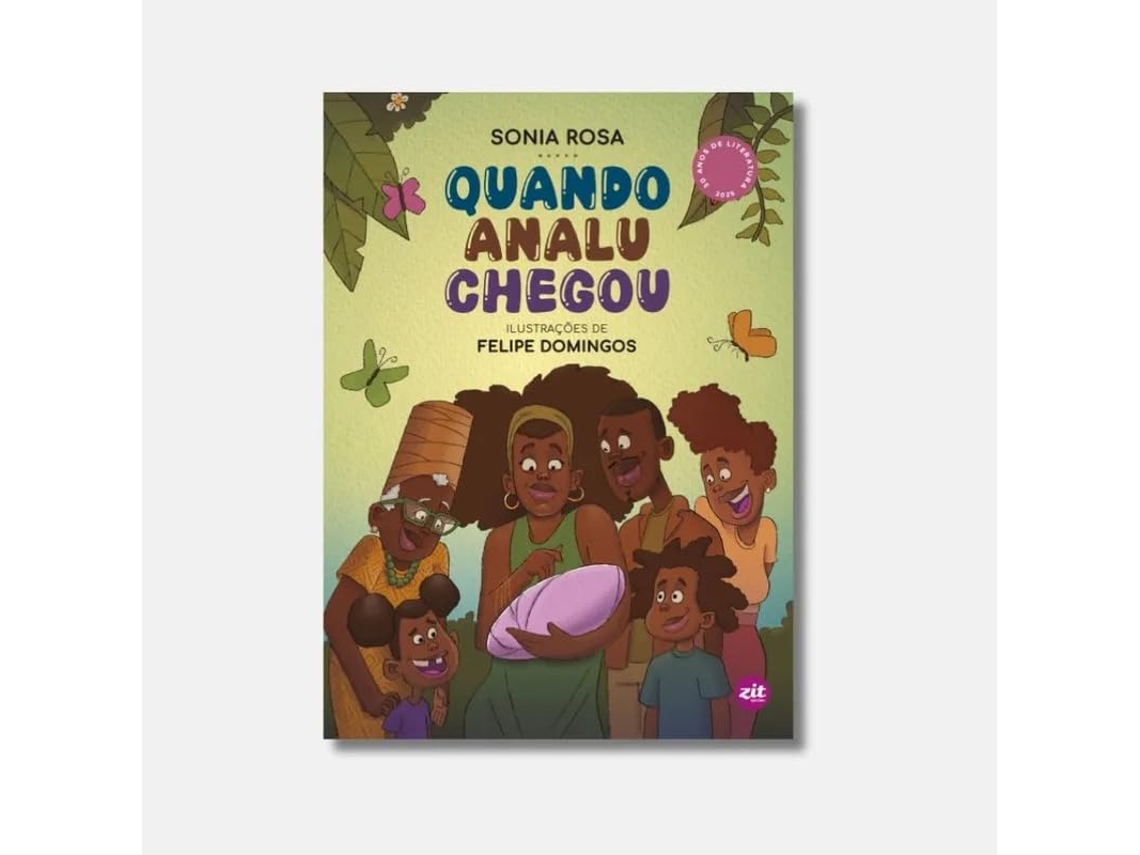 Livro Quando Analu Chegou De Sonia Rosa (português Do Brasil)