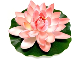 Lótus Artificiais Rosa Claro, Plantas Aquáticas Artificiais Flutuantes, Revisitando o Lago Branco AQUAFORGE