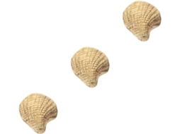 Conjunto De 3 Puxadores Latão Em Formato Concha Para Armários E Cômodas, Gavetas E Guarda Roupas