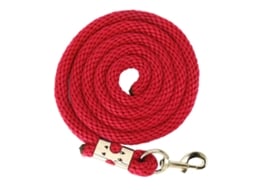 Cuerda de Entrenamiento para Cavalos Lunge Line 2m | S/MARCA