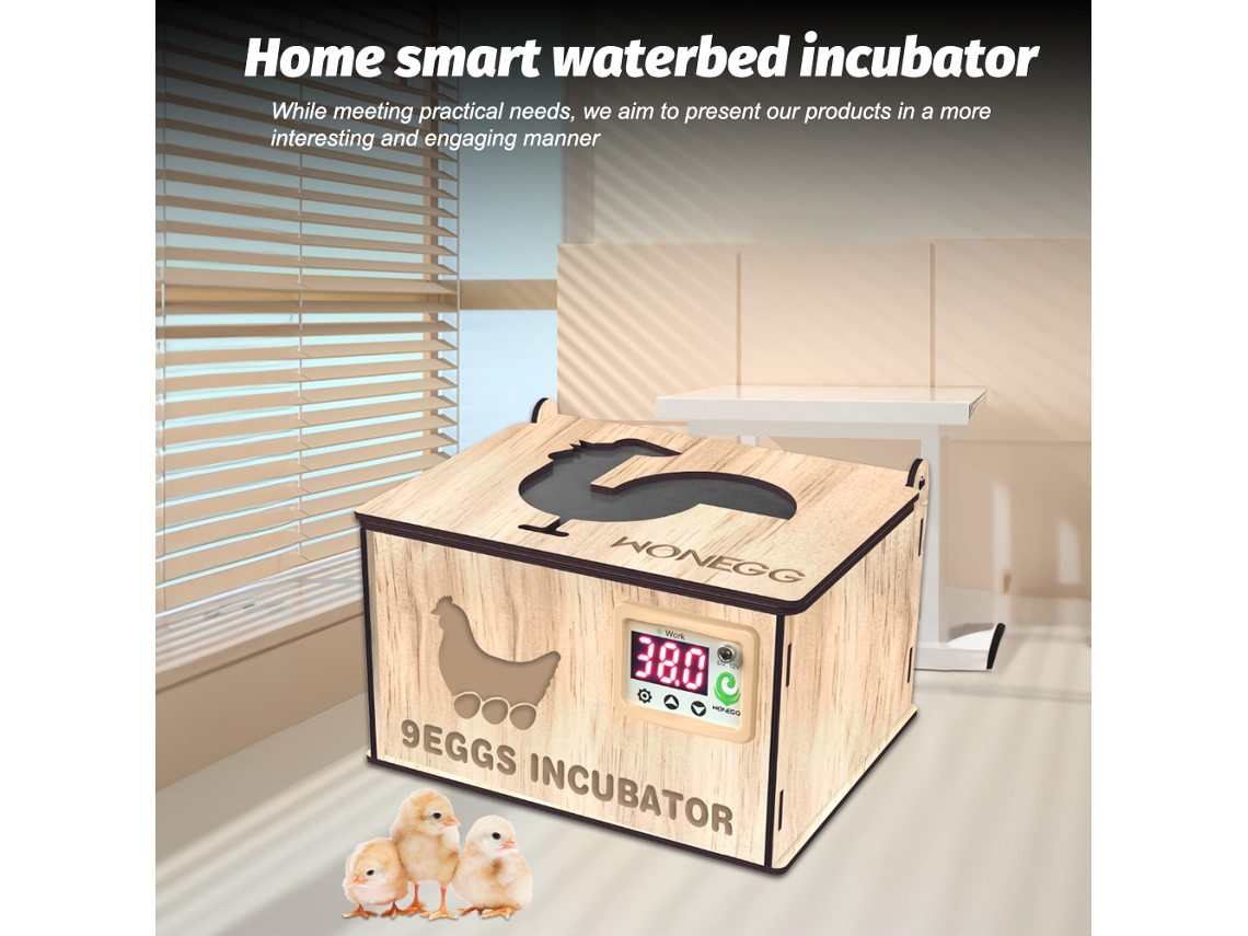 Incubador de Ovos Diy de Madeira com Controle de Temperatura para 9 Ovos Galinha Pato Ganso Codorna S/MARCA