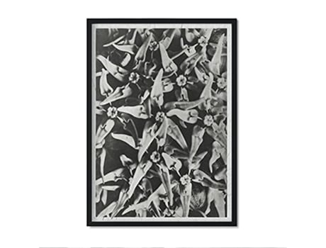 Póster NACNIC O Piso Preto e Branco 41. com Ilustrações de Flores e Plantas em Tons Cinzentos.