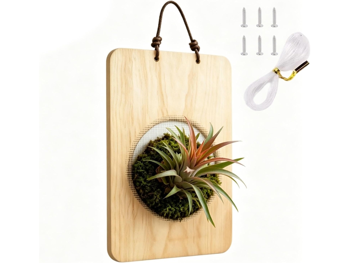 Vaso de parede suspenso para orquídeas de madeira vertical GOKOCO