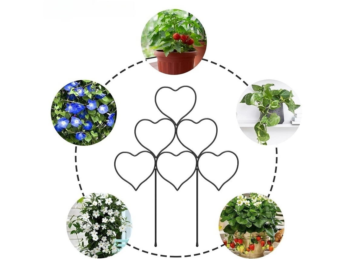 Suportes em formato de coração para plantas trepadeiras (5 peças), suportes para plantas em vasos de vidro, suportes para plantas trepadeiras em vasos de vidro