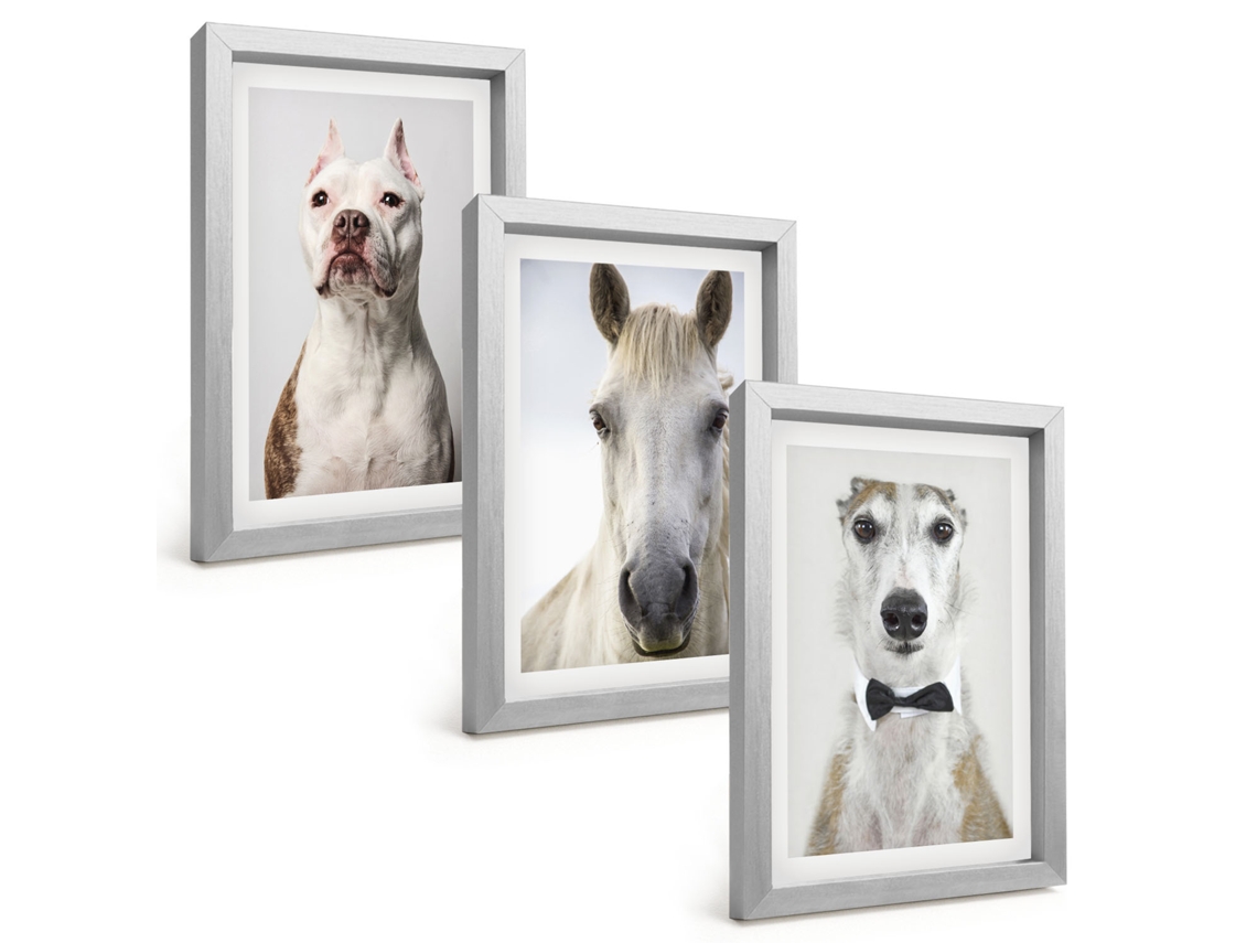 Galeria De Pinturas Muraisretratos Elegantes De Cães E Cavalos Moldura Prateada Fotos Para O Escritório Espelharte (3 Peças 20x30 Cm)