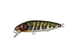 Isco SPRO Iris The Kid 48