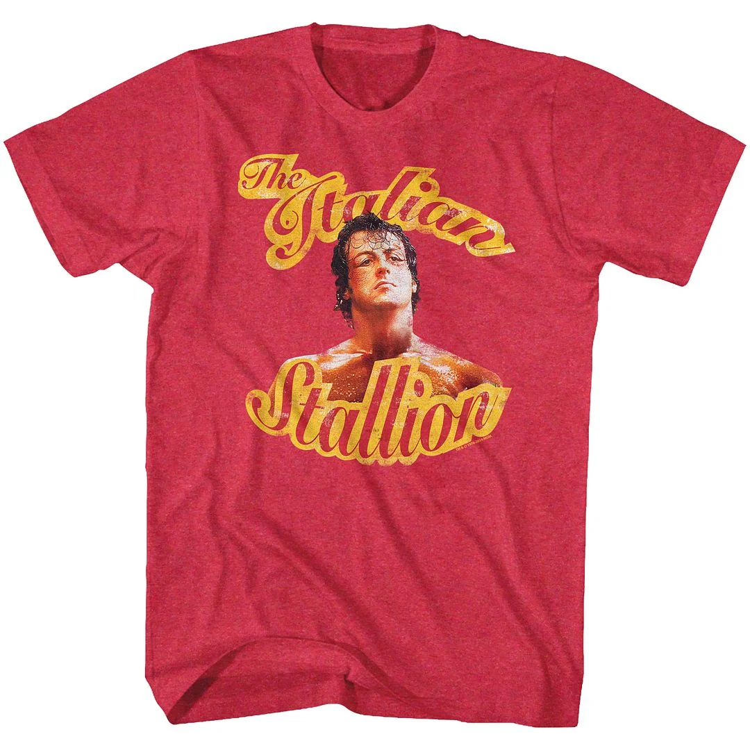 Rockinstone Rocky Movie Beaten Heather Red Adult T-shirt Size:l