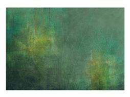 Papel de Parede ARTGEIST Green color explosion (245x175)