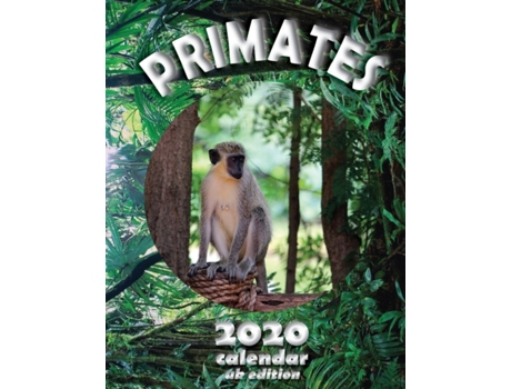 Livro Primates 2020 Calendar de Wall UK (Inglês)